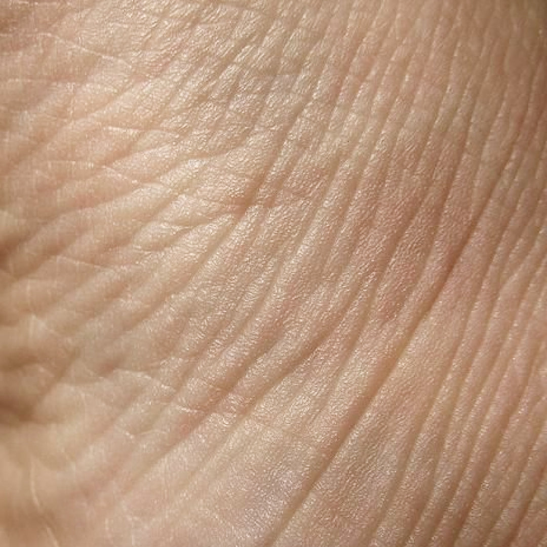 Pourquoi la peau s'affine avec l'âge ?