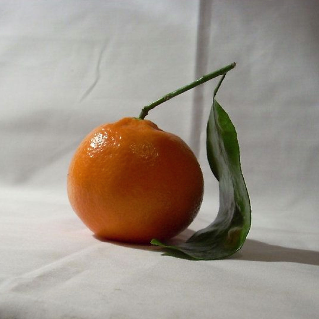 Image of Pourquoi utiliser de la vitamine C pour le visage ?